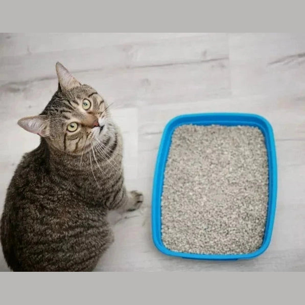 Arena Sanitaria Turbo Clean 4KG aroma Lavanda - Mascota Express
